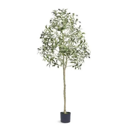 EverLush Olive Essence Tree - arlyntina